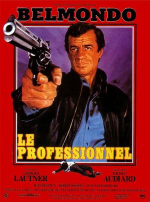 The Professional's poster