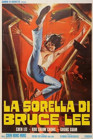 Chiu Chow Kung Fu's poster