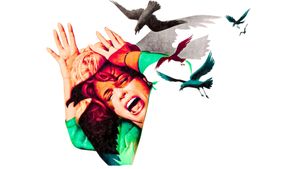 The Birds's poster