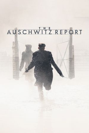 The Auschwitz Report's poster