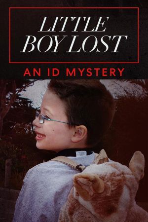 Little Boy Lost: An ID Mystery's poster