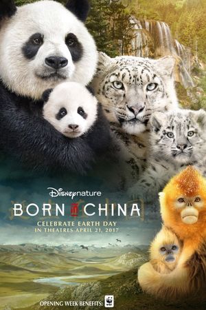 Born in China's poster