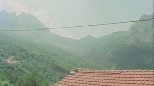 Fortini/Cani's poster