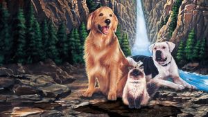 Homeward Bound: The Incredible Journey's poster