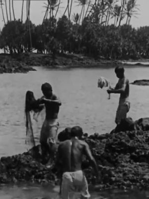 Kanaka Fishermen Casting the Throw Net, Hilo, H.I.'s poster