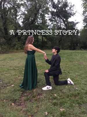 A Princess Story's poster
