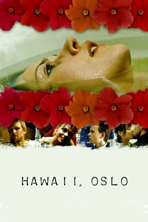 Hawaii, Oslo's poster