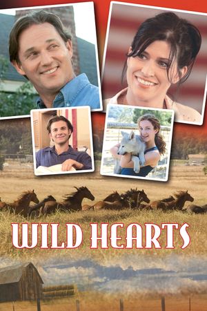 Wild Hearts's poster