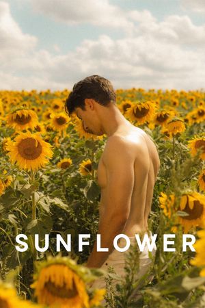 Sunflower's poster