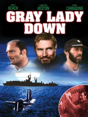 Gray Lady Down's poster