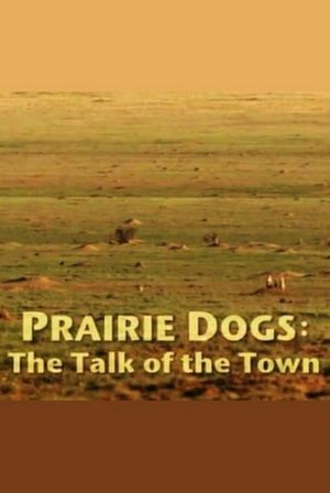 Prairie Dogs: Talk of the Town's poster