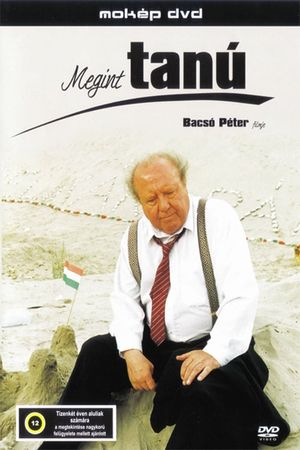 Megint tanú's poster