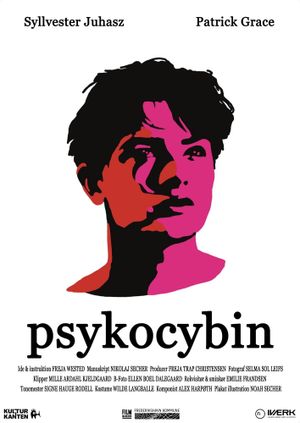 Psykocybin's poster