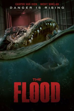 The Flood's poster
