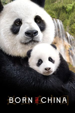 Born in China's poster
