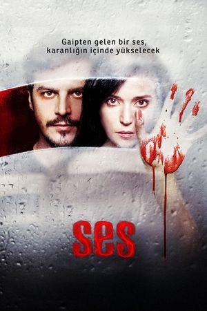 The Voice's poster