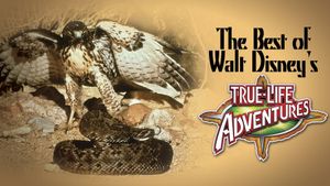 The Best of Walt Disney's True-Life Adventures's poster