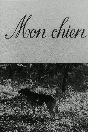 Mon chien's poster
