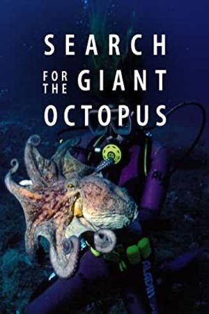 Search for the Giant Octopus's poster