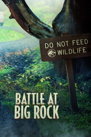 Battle at Big Rock's poster