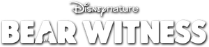 Bear Witness's poster