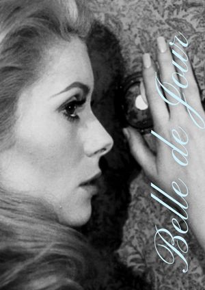 Belle de Jour's poster