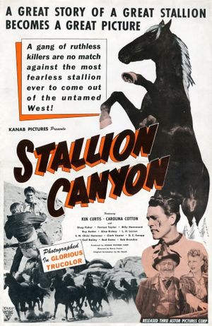 Stallion Canyon's poster