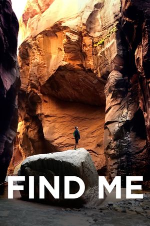 Find Me's poster