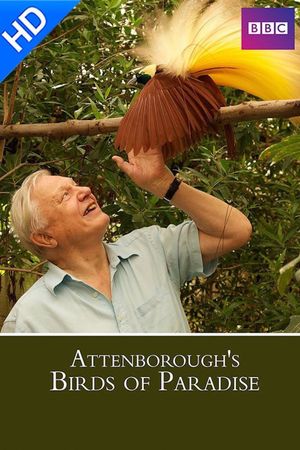 Birds of Paradise's poster