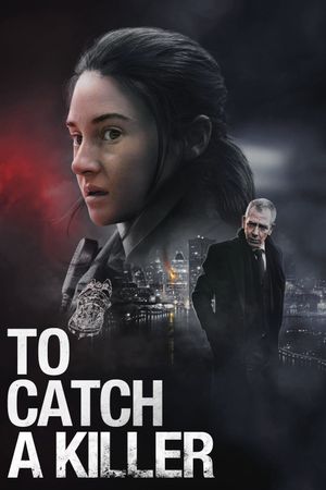 To Catch a Killer's poster