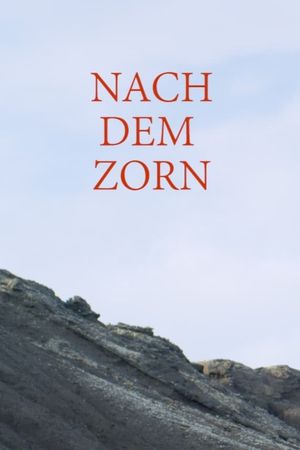 Nach dem Zorn's poster