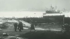Valdivia 1960, El Gran Terremoto's poster