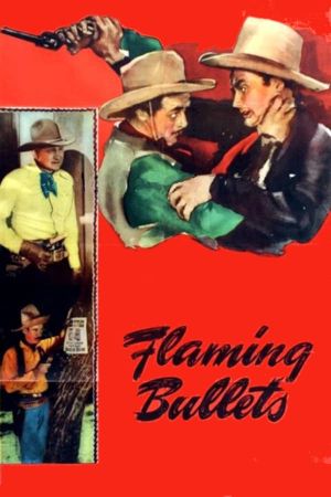 Flaming Bullets's poster