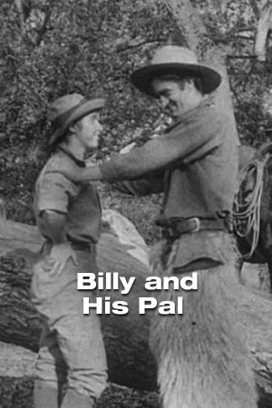 Billy and His Pal's poster image