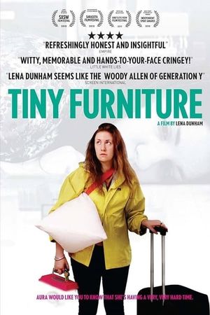 Tiny Furniture's poster