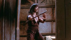 The Warrior and the Blind Swordsman's poster
