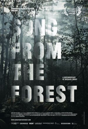 Song from the Forest's poster