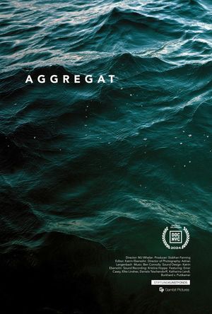Aggregat's poster