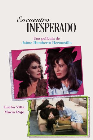 Encuentro inesperado's poster