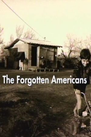 The Forgotten Americans's poster