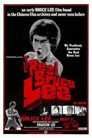 The Real Bruce Lee's poster