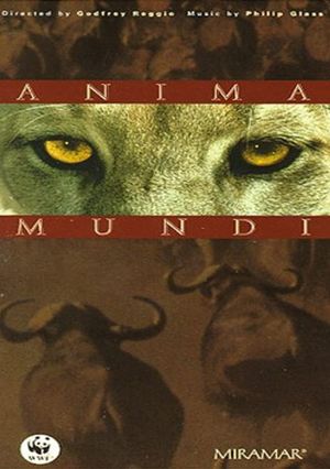 Anima Mundi's poster