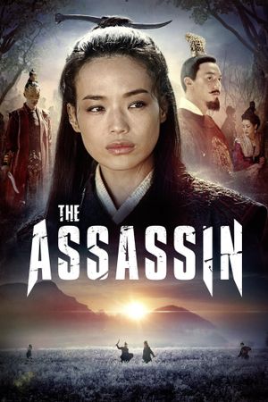The Assassin's poster