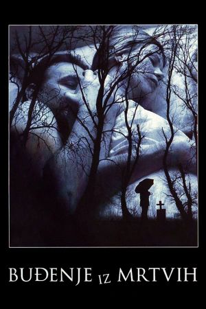 Awakening from the Dead's poster