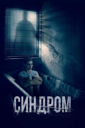The Syndrome's poster