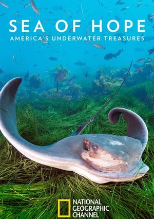 Sea of Hope: America's Underwater Treasures's poster