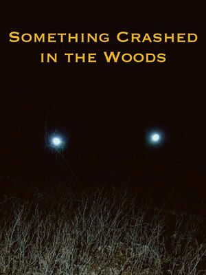 Something Crashed in the Woods's poster