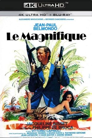 Le Magnifique's poster