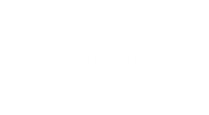 Family Romance, LLC's poster