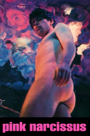 Pink Narcissus's poster